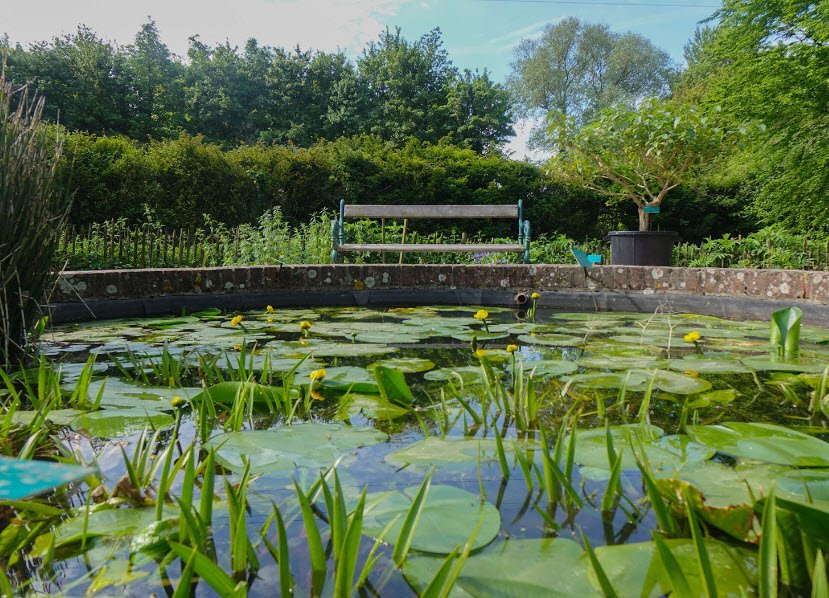 Conservatoire Botanique National, Bailleul, Nord, France, France